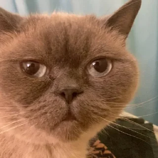 Стикер Супер крутой стикер пак 2007 - 4