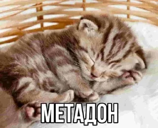 Sticker @kainewilldie - 0