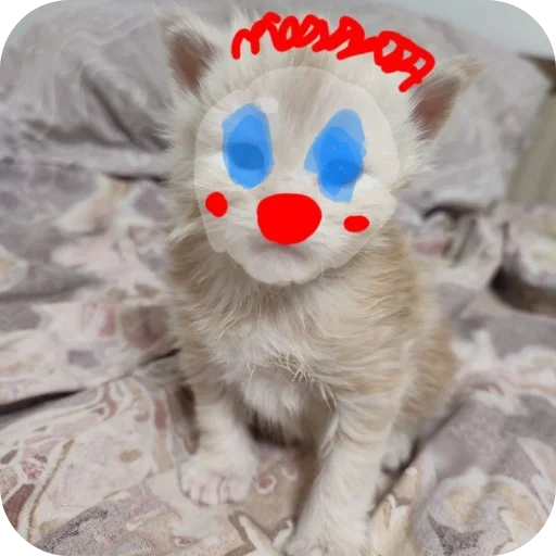 Sticker kaka9017 - 1