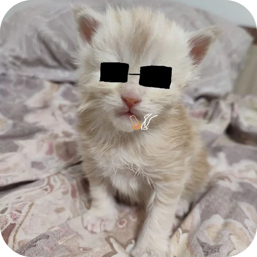 Sticker kaka9017 - 1