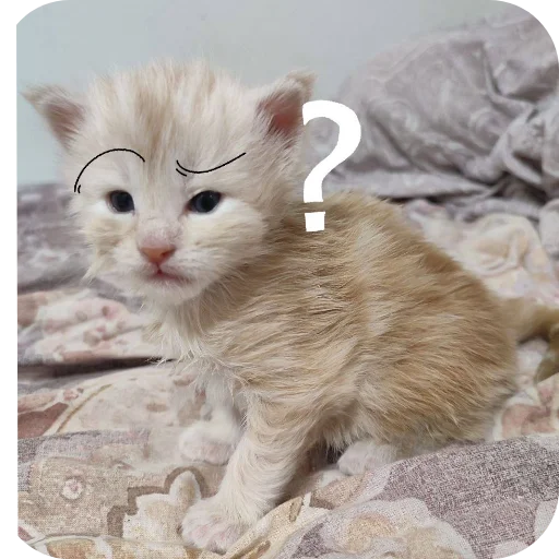 Sticker kaka9017 - 1