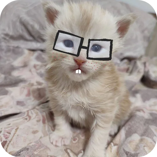 Sticker kaka9017 - 1