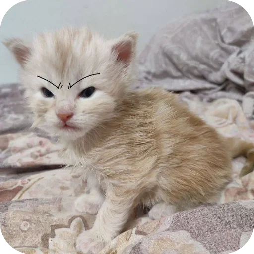 Sticker kaka9017 - 1