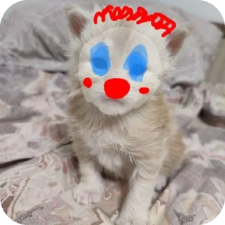 Стикер кака - 9