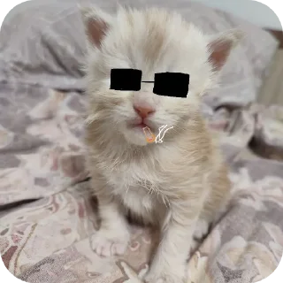 Стикер кака - 8