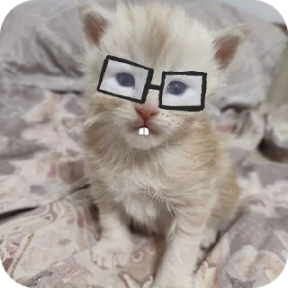 Стикер кака - 2