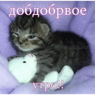 Стикер какаха - 4