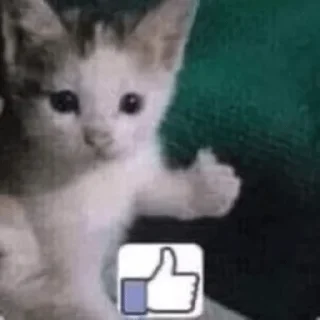 Стикер какаха - 8