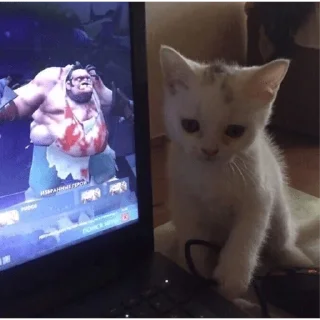 Стикер какаха - 11