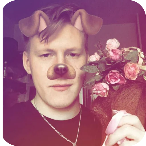 стая собачек от аниси🌹 - 