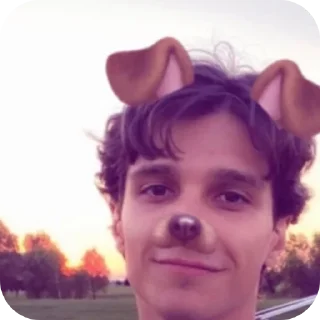 Sticker стая собачек от аниси🌹 - 4