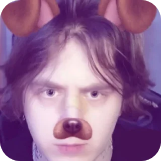 Sticker стая собачек от аниси🌹 - 1