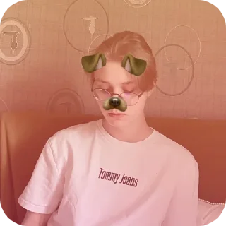 Sticker стая собачек от аниси🌹 - 5