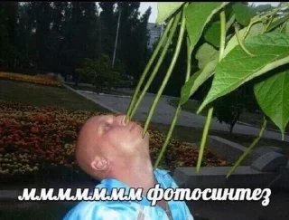 Стикер "как бы не сматериться" - 1