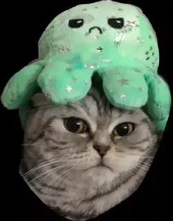 Стикер как тупо - 4