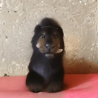 Стикер Young OG Vladimir Kalantayr - 11