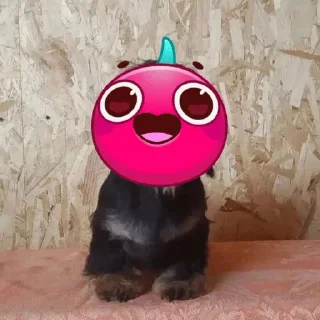 Стикер Young OG Vladimir Kalantayr - 8