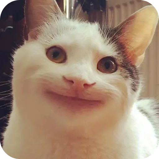 ебнутый калыван пон чечетка отвертка зубочистка - 