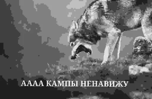 Sticker kampaf_ne_navezhu_by_MoiStikiBot - 1