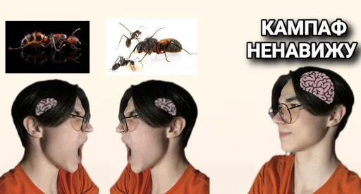 Sticker kampaf_ne_navezhu_by_MoiStikiBot - 1