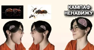 Стикер КАМПАФ НЭ НАВЕЖУ @MoiStikiBot - 0