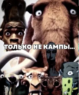 Стикер КАМПАФ НЭ НАВЕЖУ @MoiStikiBot - 5