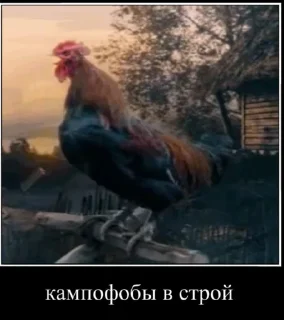 Стикер КАМПАФ НЭ НАВЕЖУ @MoiStikiBot - 9