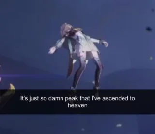 Sticker Hsr random - 10