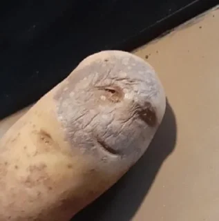 Стикер Kang pack by @DneZyeK - 0