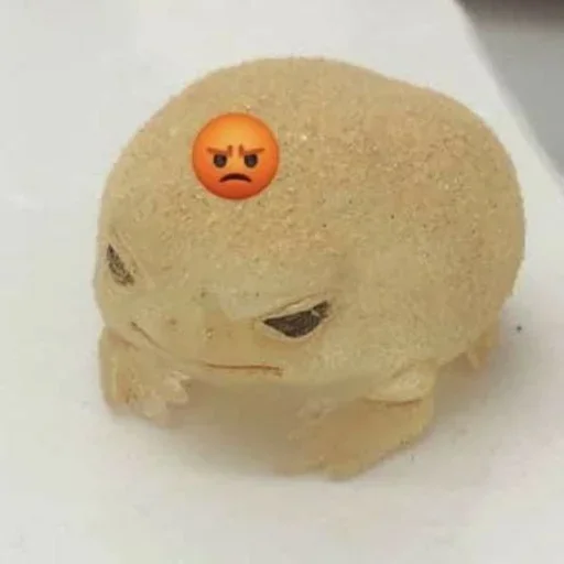 игрушка комнатный пища