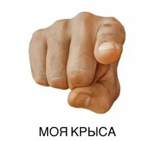 Стикер Kang pack by @efremenkova - 10