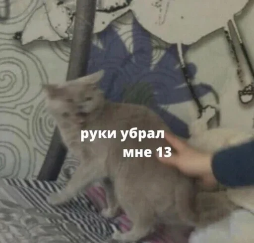 Стикер Kang pack by @efremenkova - 0