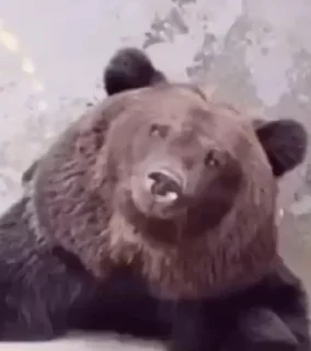 Sticker Полит-нейтральный пак бай @the8055u - 4