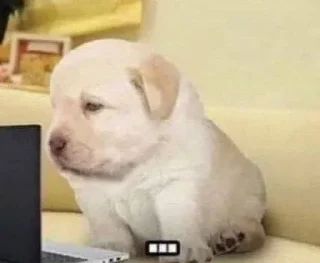 Sticker Полит-нейтральный пак бай @the8055u - 6