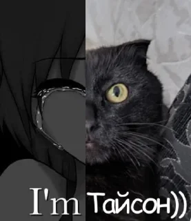 Sticker Полит-нейтральный пак бай @the8055u - 8