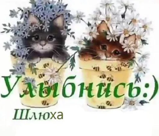 СМС кошка торт на день рождения