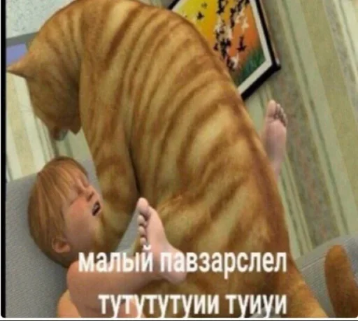 животное млекопитающее Человек