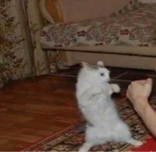 Стикер Kang pack by @soull1A - 1