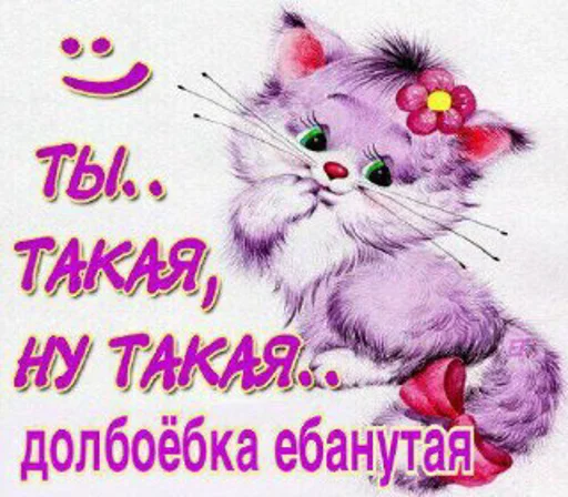 cat text small to medium-sized cats