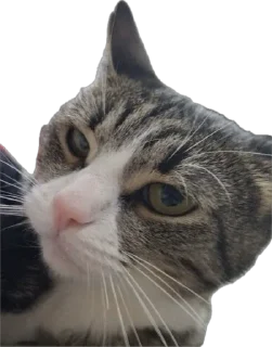 Sticker марихуяна - 2