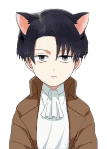 cartoon animation animated cartoon