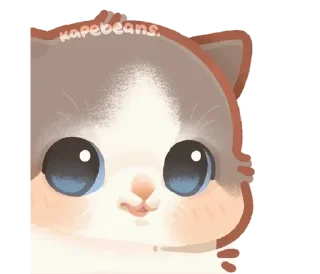 Стикер Kapebeans cat's @TgSticker - 10