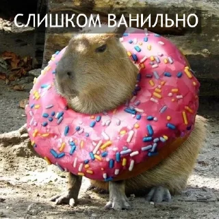 Стикер Kapibara @livelib_official - 8