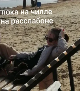 Стикер капибарки - 5