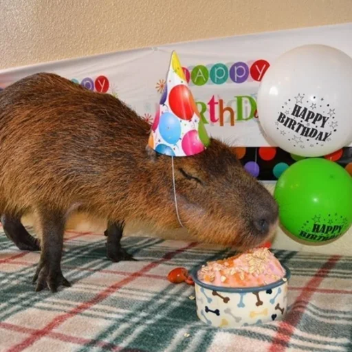 грызун животное млекопитающее