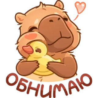 Стикер Капибарное настроение @MoiStikiBot - 1