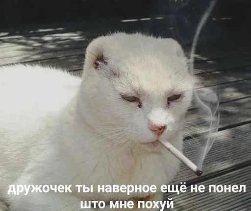 Стикер дед инсайд женя by @fStikBot - 9