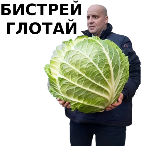 Sticker karabaras - 1