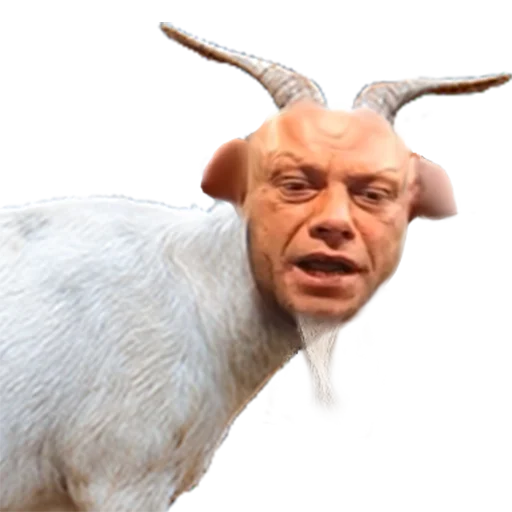 Стикер karabaras - 1