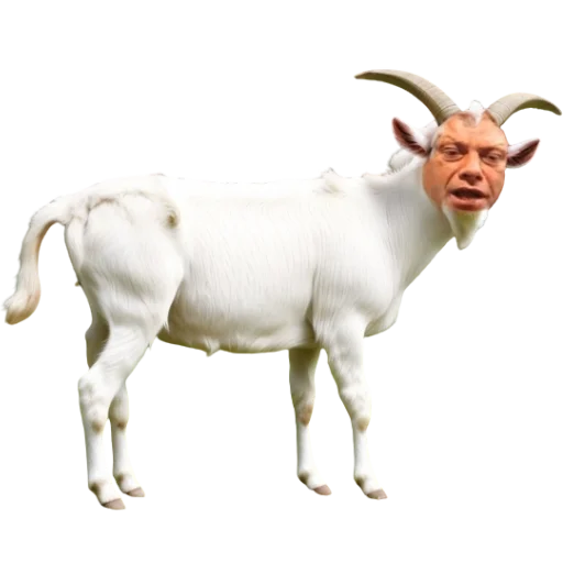 Стикер karabaras - 1